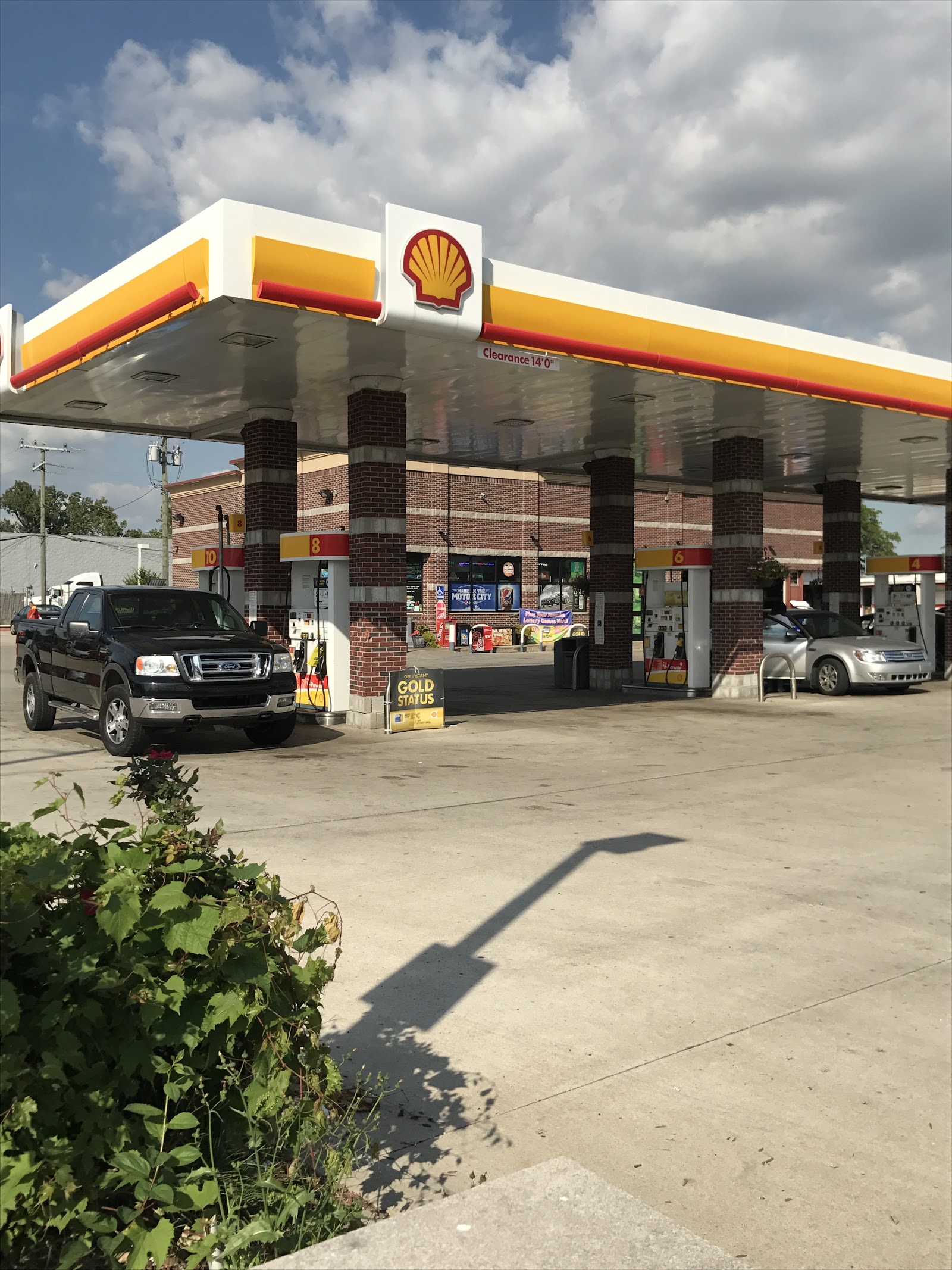 Shell — photo